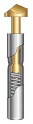 SS-100